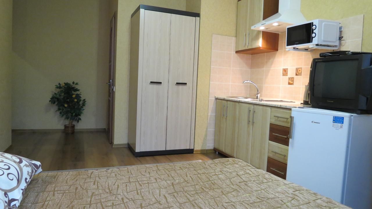 Апартаменты Green Hill Трускавец-25